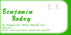 benjamin mokry business card